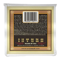 Ernie Ball Earthwood Silk and Steel 12-String Soft Acoustic Set, .009 - .046