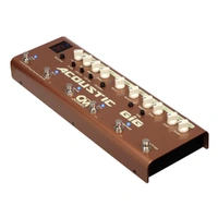 Carl Martin Acoustic GiG Multi-Effects Guitar Pedal