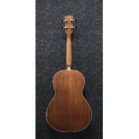 IBANEZ PNB14E OPN ACOUSTIC BASS GUITAR
