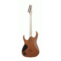 IBANEZ RGR5221 TFR PRESTIGE EL GUITAR W/CASE