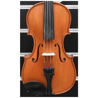Gliga 2 Violin 4/4 Birdseye Maple 1 Piece back  C/w Case & Bow