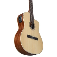 Alvarez RC26HCE Regent Series Classical Acoustic / Electric Guitar - With Bag 