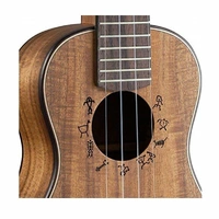 aNueNue Lani S1 Acoustic / Electric Mini Concert Ukulele + gig Bag Solid Koa Top