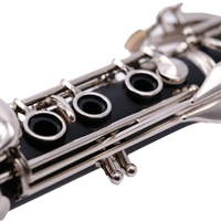 Buffet Crampon B12 Bb Clarinet ABS Body with Case