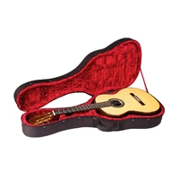Cordoba full Size Classical Guitar Case