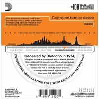 D'Addario EJ41 12-String Phosphor Bronze Extra Light Acoustic Guitar Strings 