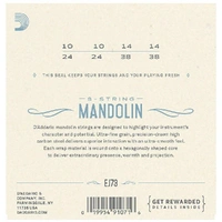 D'Addario EJ73 Phosphor Bronze Mandolin Strings, Light, 10 - 38