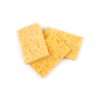 D'Addario Acoustic Guitar Humidifier Replacement Sponges, 3 Pack