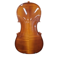 Hora  4/4 Cello Outfit Nitro Varnish All Solid Wood Made in Europe
