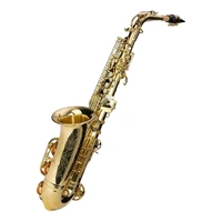 Steinhoff Intermediate Alto Saxophone High F# mechanism Blue steel springs