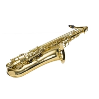 Steinhoff Student Series Tenor Saxophone Model TS1-GLD 3 year Warranty