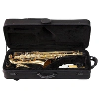 Steinhoff Advanced Student Tenor Saxophone Model TS10-GLD 3 year Warranty