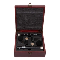 Lauten Audio LA-120 Small-diaphragm Condenser Microphone Pair