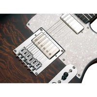 Michael Kelly Electric Guitar Enlightened 55 Tiger's Eye Burst Made in Korea