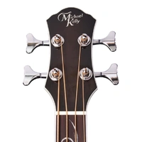 Acoustic Electric Bass Dragonfly Smokeburst
