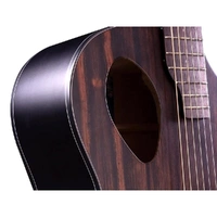 Acoustic Electric Guitar Forte Exotic Java Ebony