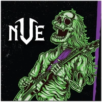 NVE Guitars  Exclusive Guitar Picks / Plectrums 6 Mixed Picks