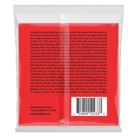 Ernie Ball Light 12-String Nickel Wound Electric Guitar Strings, 9-46 Gauge