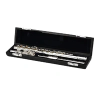 Powell Sonare 101 Flute Split E Offset G & C Foot with Plateau Keys - Silver