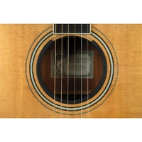 D'Addario "Optimized By O-Port" Bulk Pack