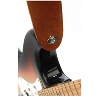 D'Addario Planet Waves Elliptical End Pins, Nickel