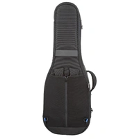 Reunion Blues Expedition Double Electric Guitar Case