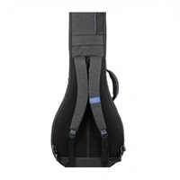 Reunion Blues Continental Voyager Banjo Case