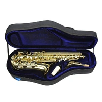Reunion Blues RBX Alto Saxophone Case