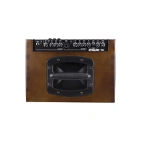 Strauss 60 Watt Acoustic Guitar Amplifier Combo with Effects (Walnut)