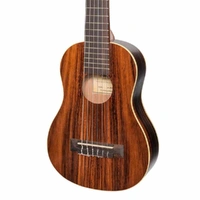 Sanchez 1/4 Size Student Classical Guitar Rosewood - Nylon String