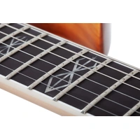 Wylde Audio Berzerker Twisted Halls Electric Guitar