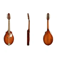 Seagull S8 Acoustic Mandolin Burnt Umber Solid Spruce Top Custom Polished Finish