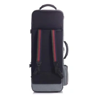 BAM SG3021 St. Germain Trekking Alto Saxophone Case , Grey