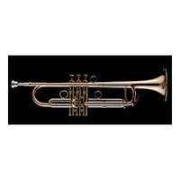 Schagerl ACADEMIA Trumpet - James Morrison Jazz Model Gold Brass Bell