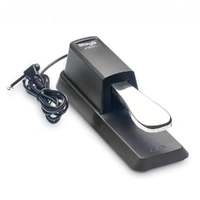 Casio SP-34 Pedal unit