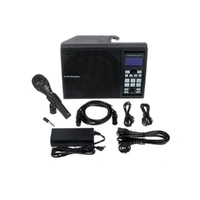 TC-Helicon SingThing Vocal Monitor and Processor 150W Active Vocal Monitor