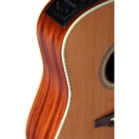 Takamine TEN10C Natural Series Dreadnought AC/EL Guitar with Cutaway