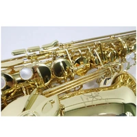 Trevor James SR Series Alto Saxophone Gold Lacquer Protech Case 