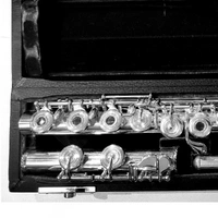 Trevor James TJ-6TCR1-ROE Recital 1 Flute Open Hole Handmade Headjoint
