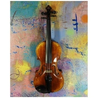 A fine European made 4/4 violin Academy V-250 Model Thomastik Strings Pro Setup
