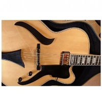 Hofner Jazzica Custom Archtop Guitar Solid Spruce Top w/ Deluxe Case