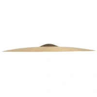 Sabian 12312XCN HHX Series Complex Medium Ride Natural Finish B20 Cymbal 23in