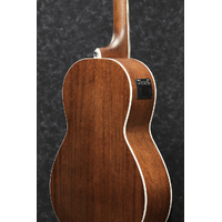 IBANEZ PNB14E OPN ACOUSTIC BASS GUITAR