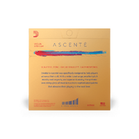 D'Addario AscentǸ Violin D String, 1/4 Scale, Medium Tension