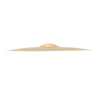 Sabian AA21660B AA Series El Sabor Crash Brilliant Finish B20 Bronze Cymbal 16in