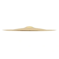 Sabian AA21816B AA Series China Bright Brilliant Finish B20 Bronze Cymbal 18in