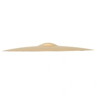 Sabian AA221BCB AA Series Bash Ride Brilliant Finish B20 Bronze Cymbal 21in