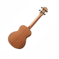 aNueNue MKN2E Makani II Acoustic / Electric Concert Ukulele 