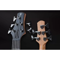 FURCH Bc62-SM 5 - String  Acoustic / Electric Bass Guitar Spruce / Walnut