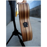 Cole Clark Grand Auditorium - 3 Series, All Camphor Laurel  AN3EC-CLCL-A